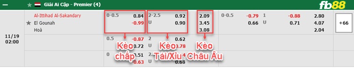 Fb88 bảng kèo trận đấu Ittihad Alexandria vs El Gounah