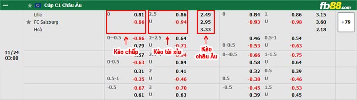 fb88-bảng kèo trận đấu Lille vs Salzburg
