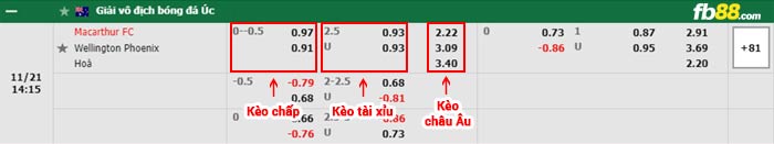 fb88-bảng kèo trận đấu Macarthur vs Wellington Phoenix