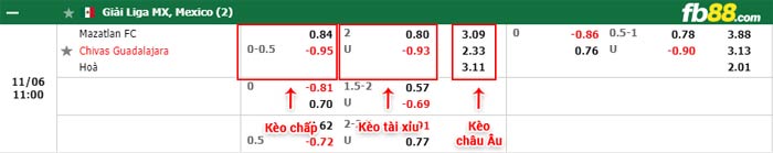 fb88-bảng kèo trận đấu Mazatlan vs Chivas Guadalajara