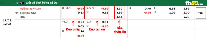 fb88-bảng kèo trận đấu Melbourne Victory vs Brisbane Roar