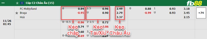 Fb88 bảng kèo trận đấu Midtjylland vs Braga