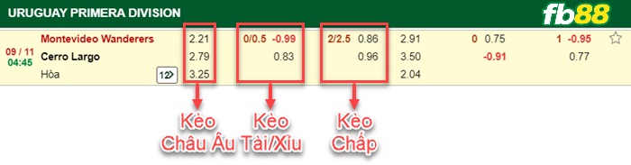 Fb88 bảng kèo trận đấu Montevideo Wanderers vs Cerro Largo