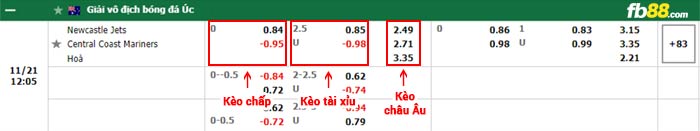 fb88-bảng kèo trận đấu Newcastle Jets vs Central Coast