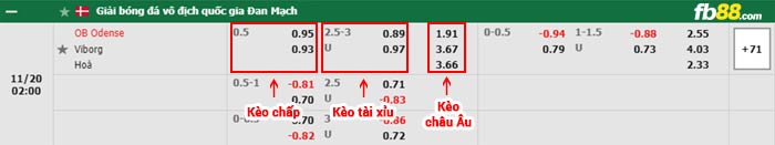 fb88-bảng kèo trận đấu Odense vs Viborg