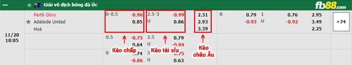 fb88-bảng kèo trận đấu Perth Glory vs Adelaide