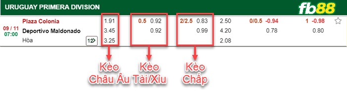 Fb88 bảng kèo trận đấu Plaza Colonia vs Maldonado