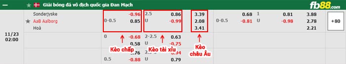 fb88-bảng kèo trận đấu Sonderjyske vs Aalborg