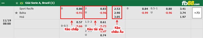 fb88-bảng kèo trận đấu Sport Recife vs Bahia