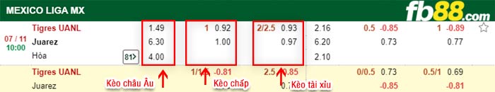 fb88-bảng kèo trận đấu Tigres UANL vs FC Juarez
