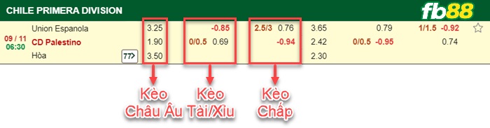 Fb88 bảng kèo trận đấu Union Espanola vs Palestino