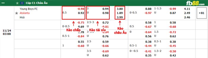 fb88-bảng kèo trận đấu Young Boys vs Atalanta