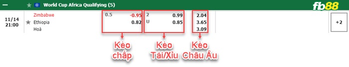 Fb88 bảng kèo trận đấu Zimbabwe vs Ethiopia