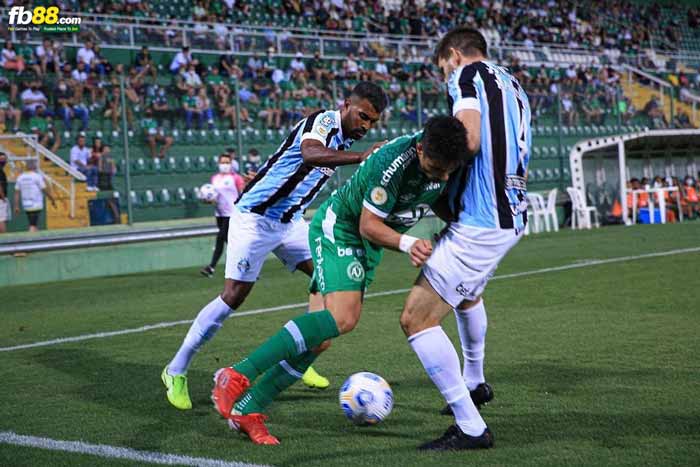 fb88-chi tiết kèo trận đấu America MG vs Chapecoense