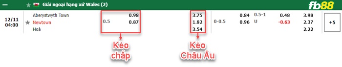 Fb88 bảng kèo trận đấu Aberystwyth vs Newtown AFC