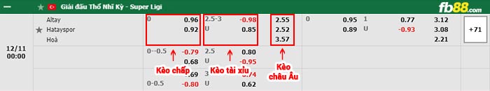 fb88-bảng kèo trận đấu Altay Spor Kulubu vs Hatayspor