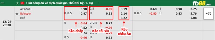 fb88-bảng kèo trận đấu Altinordu vs Boluspor