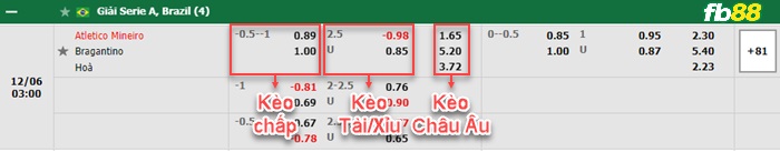 Fb88 bảng kèo trận đấu Atletico Mineiro vs Bragantino