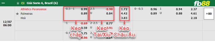 Fb88 bảng kèo trận đấu Atletico Paranaense vs Palmeiras