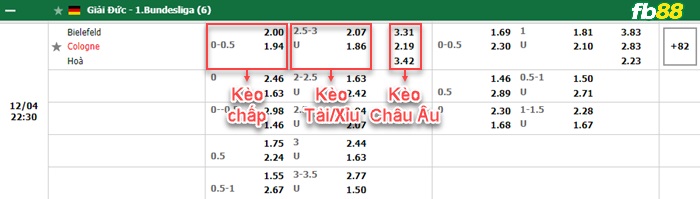 Fb88 bảng kèo trận đấu Bielefeld vs Koln