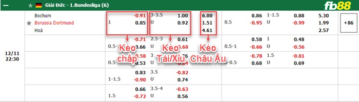 Fb88 bảng kèo trận đấu Bochum vs Dortmund