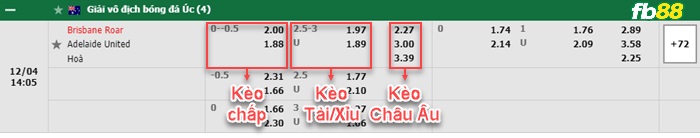 Fb88 bảng kèo trận đấu Brisbane Roar vs Adelaide