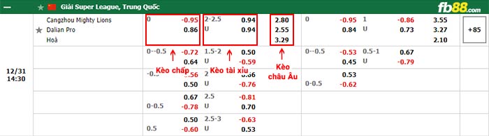 fb88-bảng kèo trận đấu Cangzhou Mighty vs Dalian Pro
