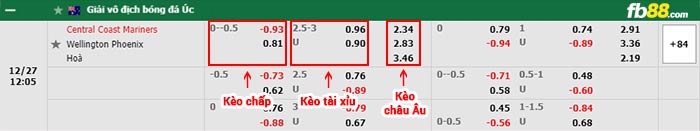 fb88-bảng kèo trận đấu Central Coast vs Wellington Phoenix