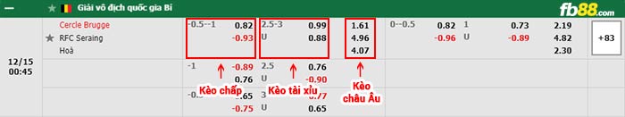 fb88-bảng kèo trận đấu Cercle Brugge vs Seraing