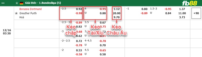 Fb88 bảng kèo trận đấu Dortmund vs Greuther Furth