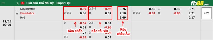 fb88-bảng kèo trận đấu Fatih Karagumruk vs Fenerbahce