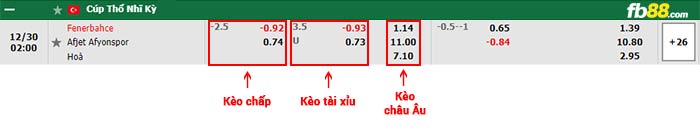 fb88-bảng kèo trận đấu Fenerbahce vs Afjet Afyonspor