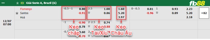 Fb88 bảng kèo trận đấu Flamengo vs Santos