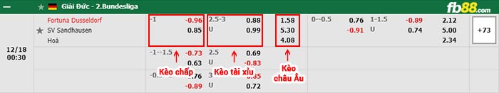 fb88-bảng kèo trận đấu Fortuna Dusseldorf vs Sandhausen