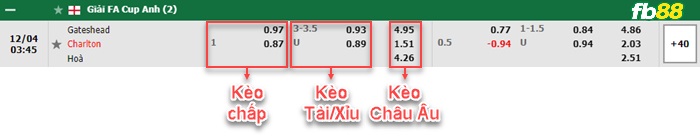 Fb88 bảng kèo trận đấu Gateshead vs Charlton