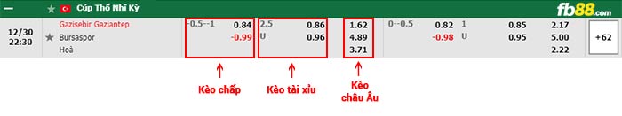 fb88-bảng kèo trận đấu Gazisehir Gaziantep vs Bursaspor