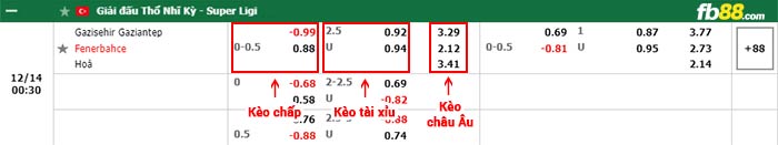 fb88-bảng kèo trận đấu Gazisehir Gaziantep vs Fenerbahce