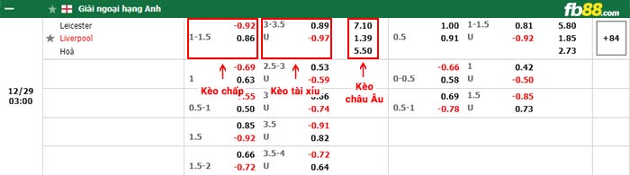 fb88-bảng kèo trận đấu Leicester vs Liverpool