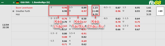 Fb88 bảng kèo trận đấu Leverkusen vs Greuther Furth