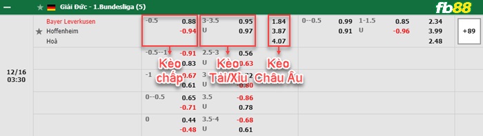 Fb88 bảng kèo trận đấu Leverkusen vs Hoffenheim