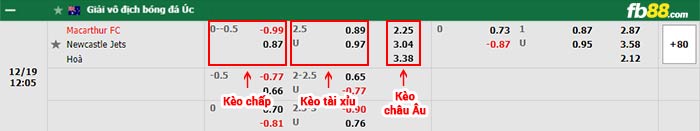fb88-bảng kèo trận đấu Macarthur vs Newcastle Jets