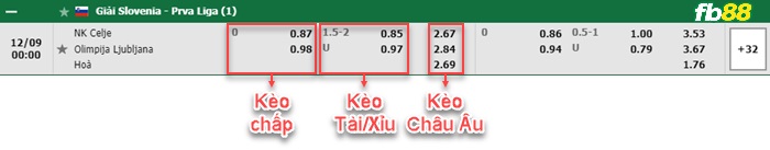 Fb88 bảng kèo trận đấu NK Celje vs Ljubljana