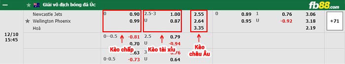 fb88-bảng kèo trận đấu Newcastle Jets vs Wellington Phoenix
