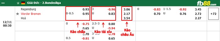 fb88-bảng kèo trận đấu Regensburg vs Werder Bremen