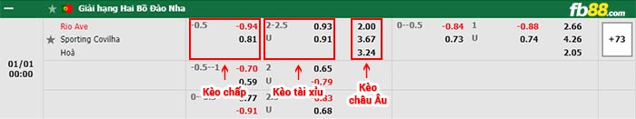 fb88-bảng kèo trận đấu Rio Ave vs Covilha