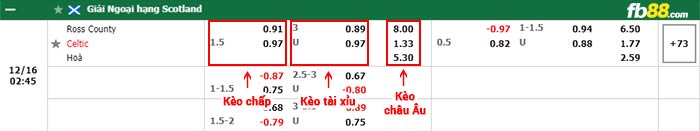 fb88-bảng kèo trận đấu Ross County vs Celtic