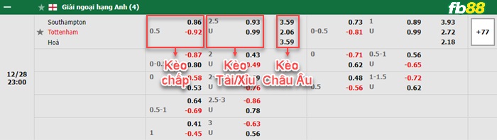 Fb88 bảng kèo trận đấu Southampton vs Tottenham