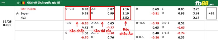 fb88-bảng kèo trận đấu St.-Truidense vs Eupen