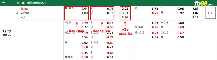 fb88-bảng kèo trận đấu Torino vs Hellas Verona