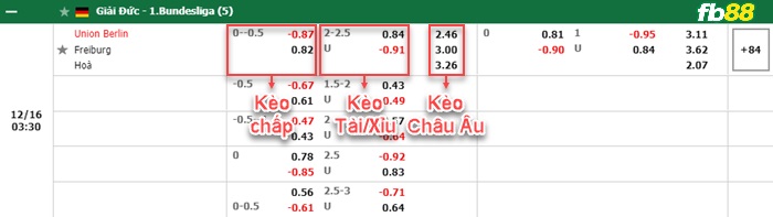 Fb88 bảng kèo trận đấu Union Berlin vs Freiburg